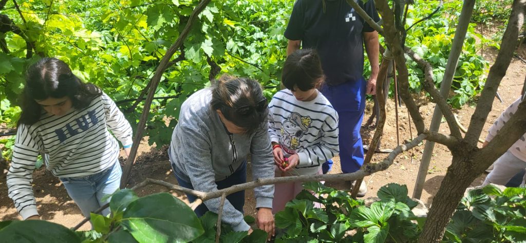 Huerto escolar y actividades del alumnado